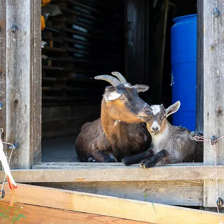 Seppen 3 * Reith im Alpbachtal