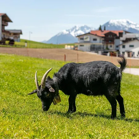 Apartment Seppen 3 *