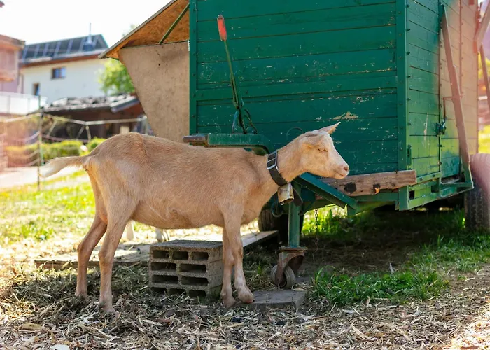 Apartman Seppen 3 Reith im Alpbachtal
